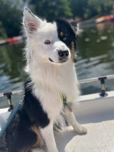 Fotochallenge Nr. 94 It's summer time-Beitrag-Bild