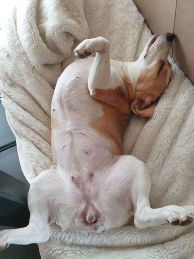 CHALLENGE NR. 34 - Liege-/Schlafpositionen-Beitrag-Bild