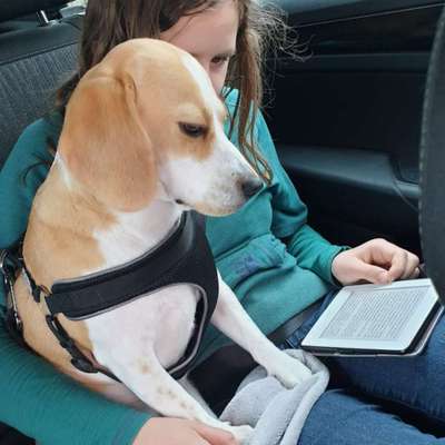 Challenge 33 - Du und dein Hund-Beitrag-Bild