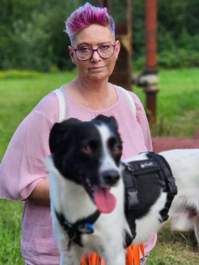 Hundetreffen-Souveräner Artgenosse zum spazieren gehen gesucht-Bild