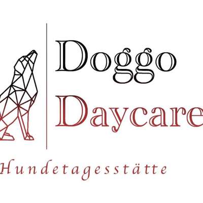 Hundepensionen-Doggo Daycare-Bild