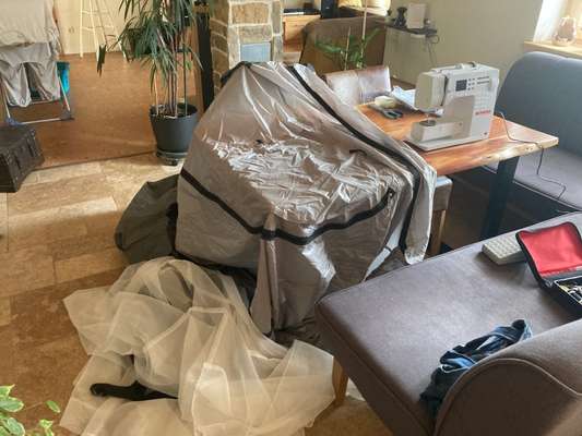 143. Fotochallenge: Ja, wo isser denn?-Beitrag-Bild