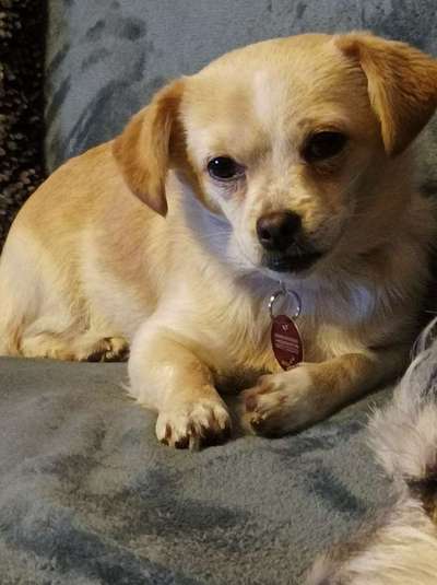 Doppelgänger gesucht !-Beitrag-Bild