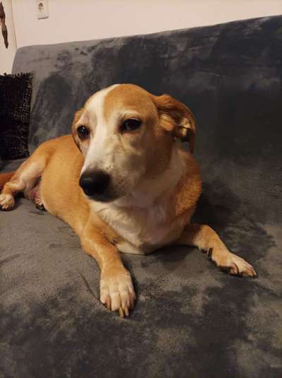 Doppelgänger gesucht !-Beitrag-Bild