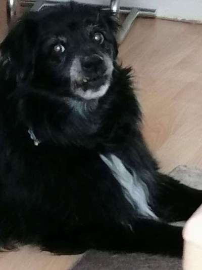 Doppelgänger gesucht !-Beitrag-Bild