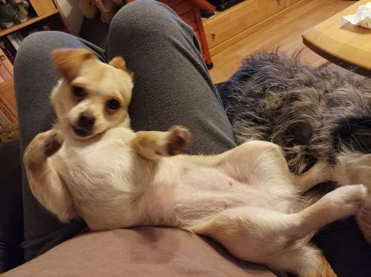 Doppelgänger gesucht !-Beitrag-Bild