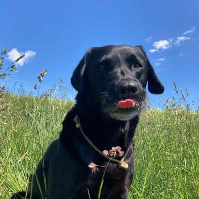 Medizinische Dienstleistung Bild