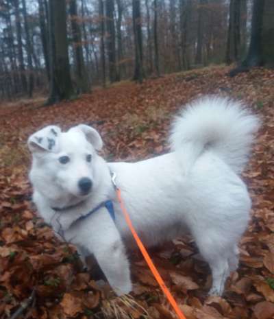 Das erste Foto-Beitrag-Bild