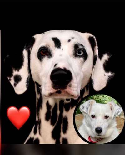 Fotochallange Nr. 57     PORTRÄT.   Beendet!!!!!!!!-Beitrag-Bild