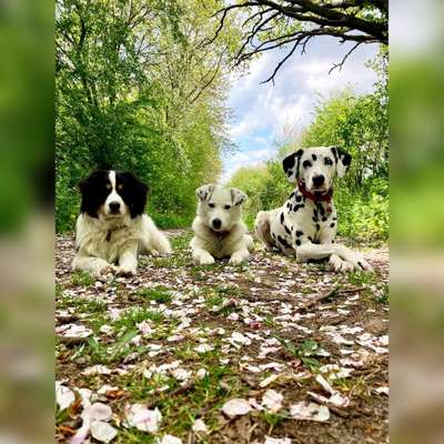 Fotowettbewerb Natur-Beitrag-Bild