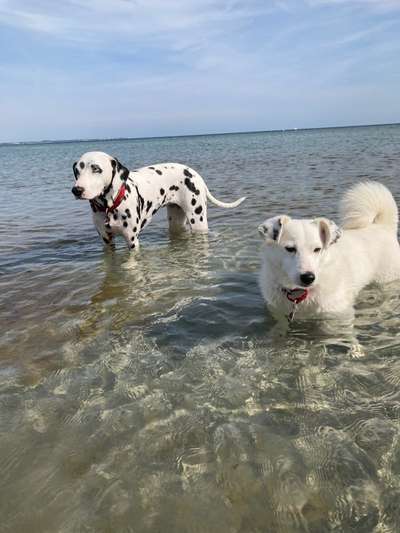 Fotochallenge 27-Beitrag-Bild