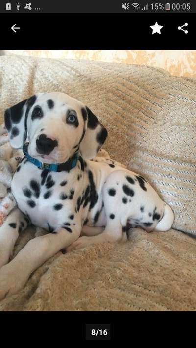 Das erste Foto-Beitrag-Bild