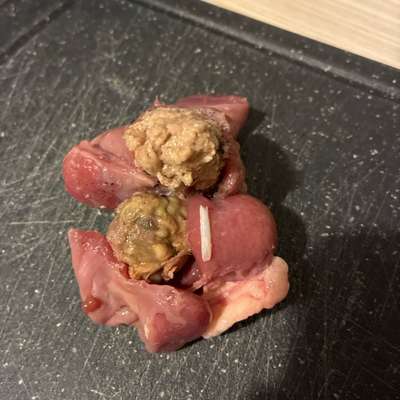 Giftköder-Giftköder-Bild