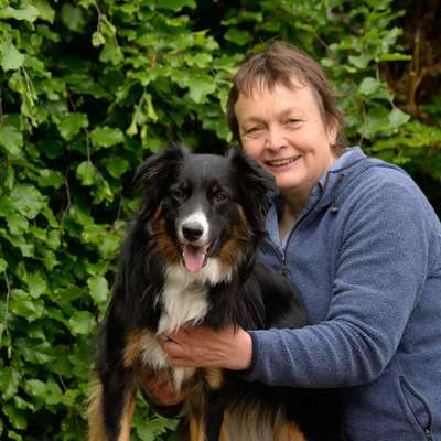 Hundetreffen-Gemeisame Hunderunde durchs Liether Moor