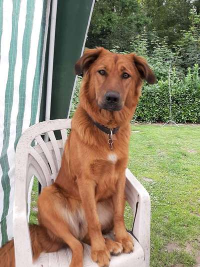 Fotochallange Nr. 57     PORTRÄT.   Beendet!!!!!!!!-Beitrag-Bild