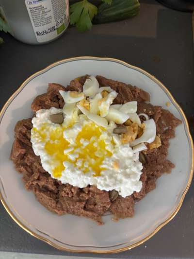 Sila verweigert Futter..-Beitrag-Bild