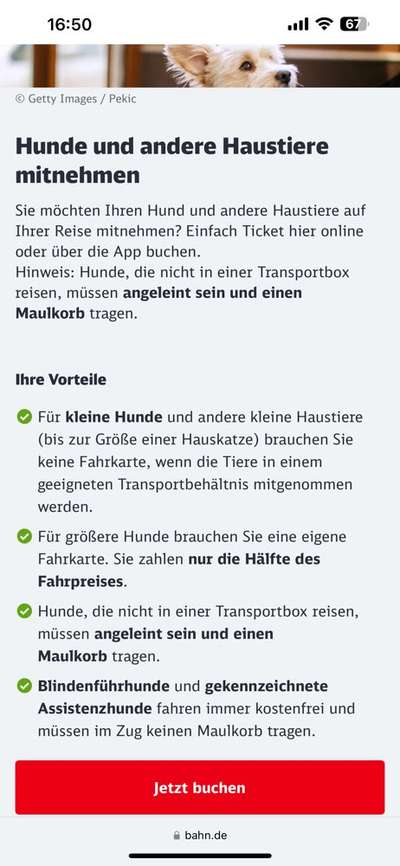 reisen im öpnv-Beitrag-Bild