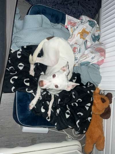 Schlaf verbessern/passendes Bett finden-Beitrag-Bild