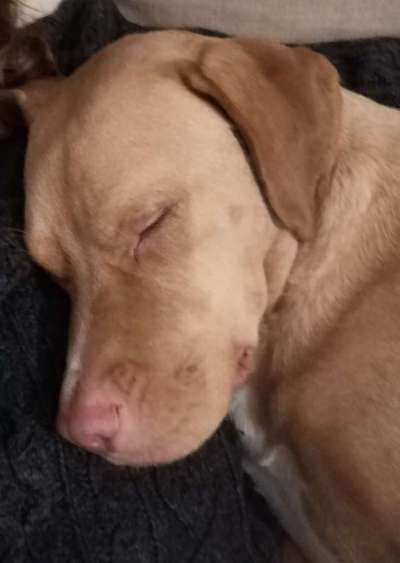 Blick fürs Detail!-Beitrag-Bild