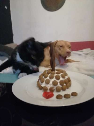 Das ABAM-Konzept Erfahrungsaustausch-Beitrag-Bild