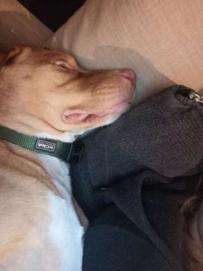 Fotochallange Nr. 6 Die irrsten Blicke-Beitrag-Bild