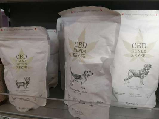 Epilepsie im Alltag/ Stammtisch-Beitrag-Bild