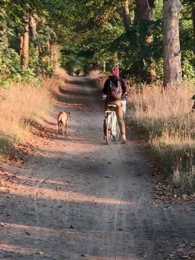 CHALLENGE NR. 18 - ON TOUR-Beitrag-Bild