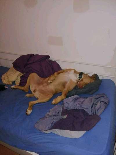 müde der kleine-Beitrag-Bild