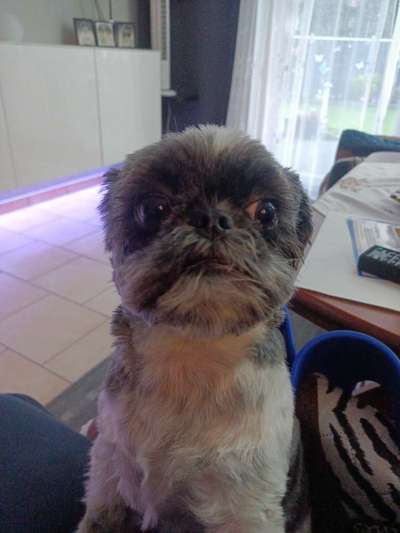 23. Handy Foto-Challenge-Beitrag-Bild