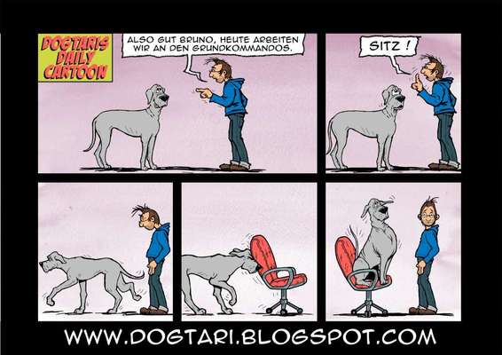 Hunde Memes-Beitrag-Bild