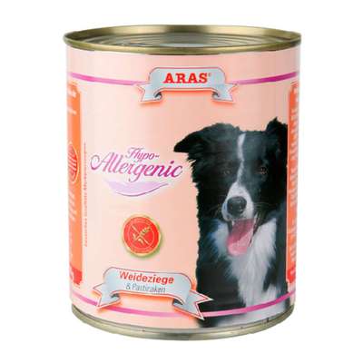 Futter für allergiker-Beitrag-Bild