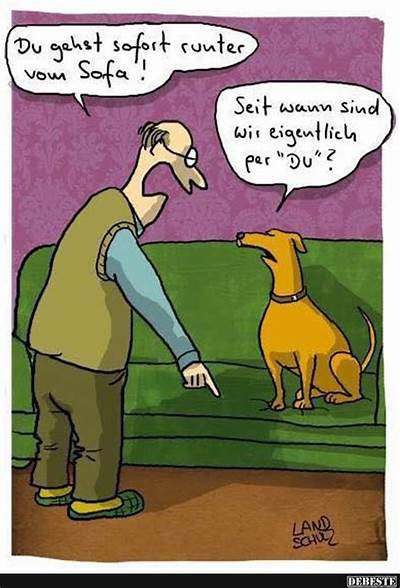 Hunde Memes-Beitrag-Bild