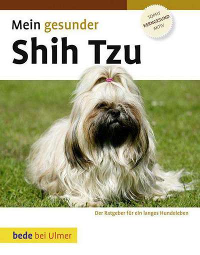 Viele offene Fragen zum Shih tzu-Beitrag-Bild