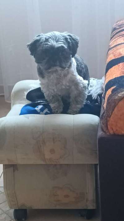 23. Collagen-Challenge: Portraits-Beitrag-Bild