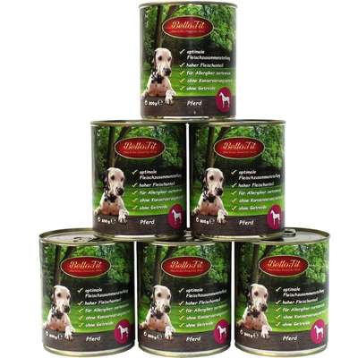 Futter für allergiker-Beitrag-Bild