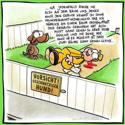 Hunde Memes-Beitrag-Bild