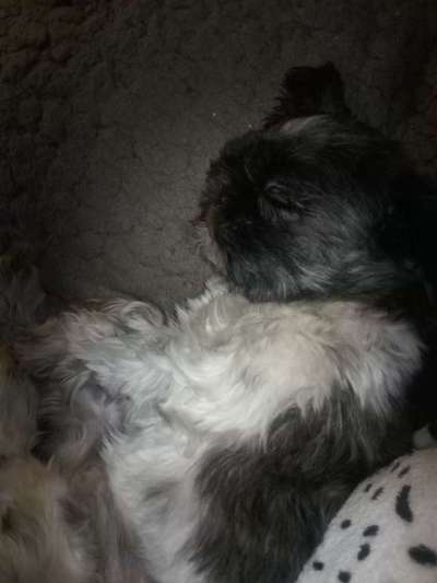 Die unbequemsten und lustigsten Schlafpositionen-Beitrag-Bild