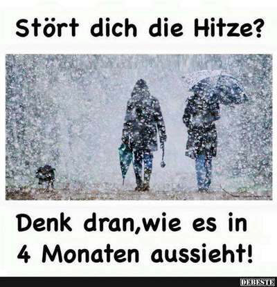 Hunde Memes-Beitrag-Bild
