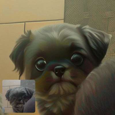 Voila app Bilder-Beitrag-Bild