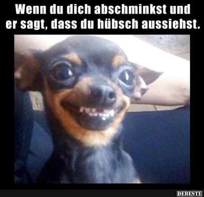 Hunde Memes-Beitrag-Bild