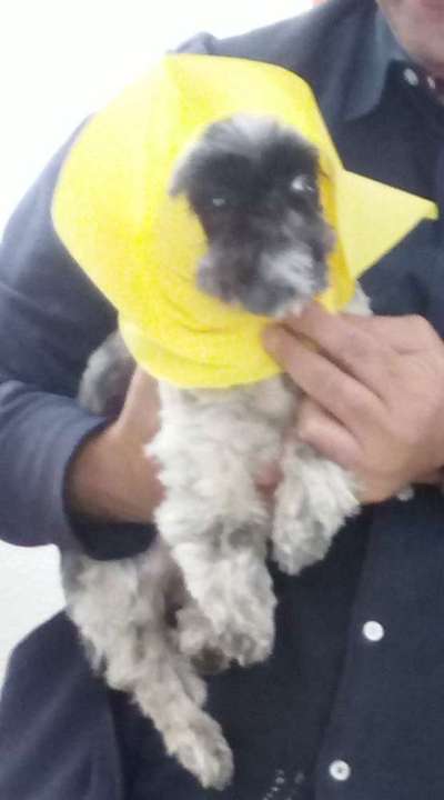 Fotowettbewerb zum Thema "Sonne"-Beitrag-Bild