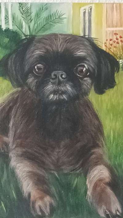 Fotochallenge 124 - Dein Comic-Hund-Beitrag-Bild