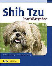 Viele offene Fragen zum Shih tzu-Beitrag-Bild