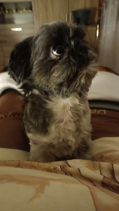 "Die eingefangene Magie des Augenblicks"-Beitrag-Bild