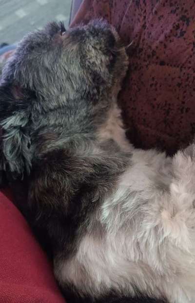 Foto Challenge Nr. 134-Beitrag-Bild