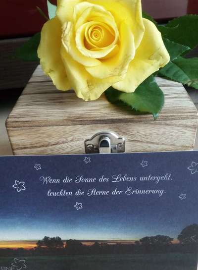 Urne von verstorbenen Haustieren !-Beitrag-Bild