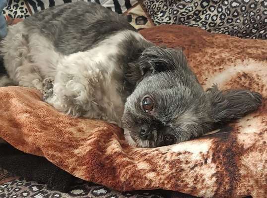 28. Farben Foto Challenge * BEIGE *-Beitrag-Bild