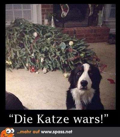 Hunde Memes-Beitrag-Bild