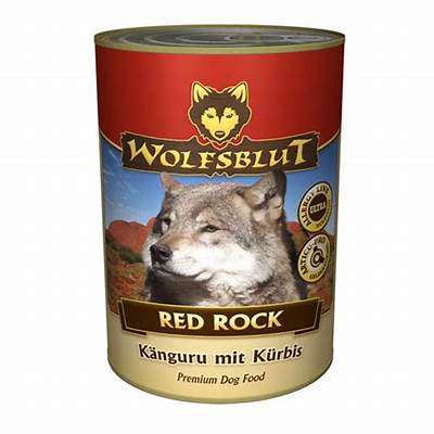 Futter für allergiker-Beitrag-Bild