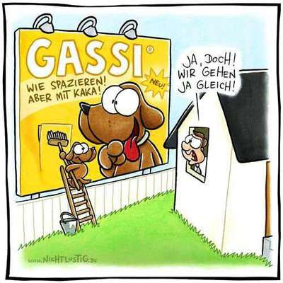 Hunde Memes-Beitrag-Bild